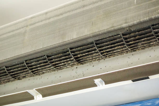 Best Commercial Air Duct Cleaning  in Morehead City, NC